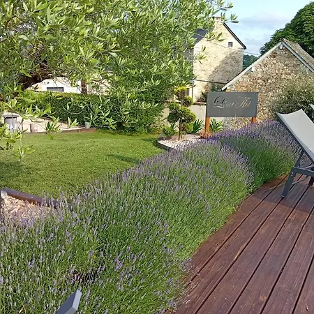 Titi De La Lisathi Palmas d'Aveyron