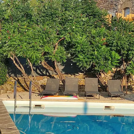 Titi De La Lisathi * Palmas d'Aveyron