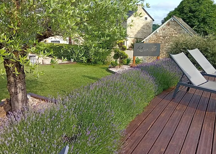 Titi De La Lisathi Palmas d'Aveyron